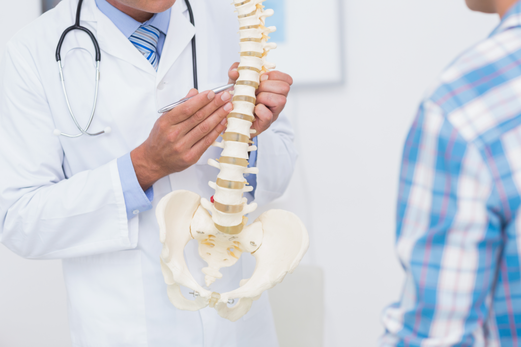 Chiropractor showing a spine model to a patient during a consultation